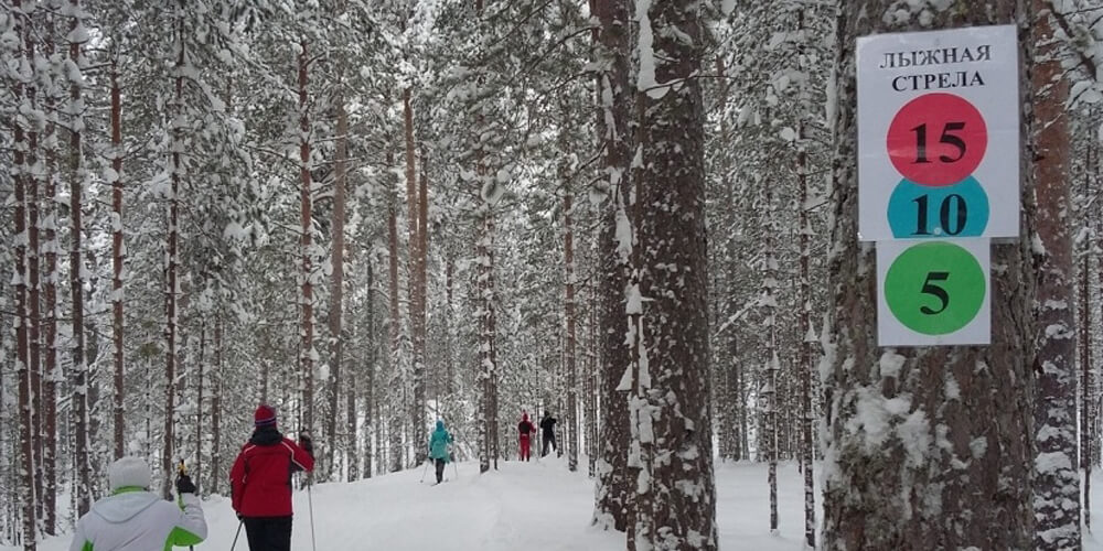 Поезд Лыжная стрела