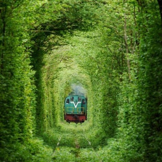 Самое романтичное место на железной дороге – туннель любви