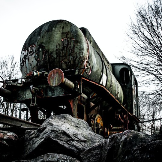 Как сделать поездку на поезде более экологичной и сохранить природу